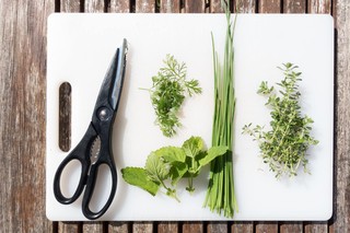 How and when to prune your herbs
