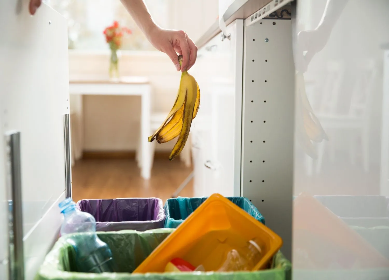 Banana peel in compost bin