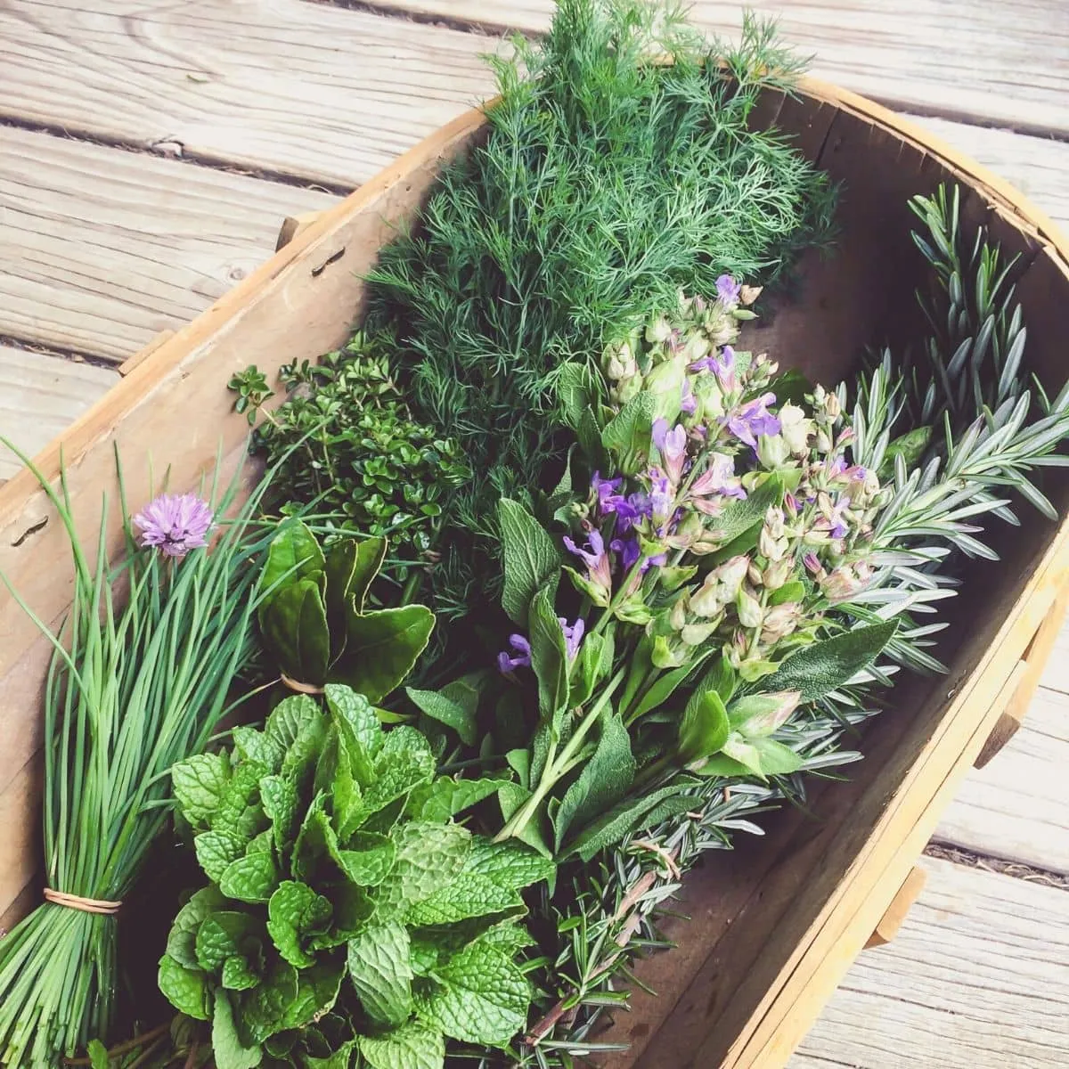 Basket of flowering herbs