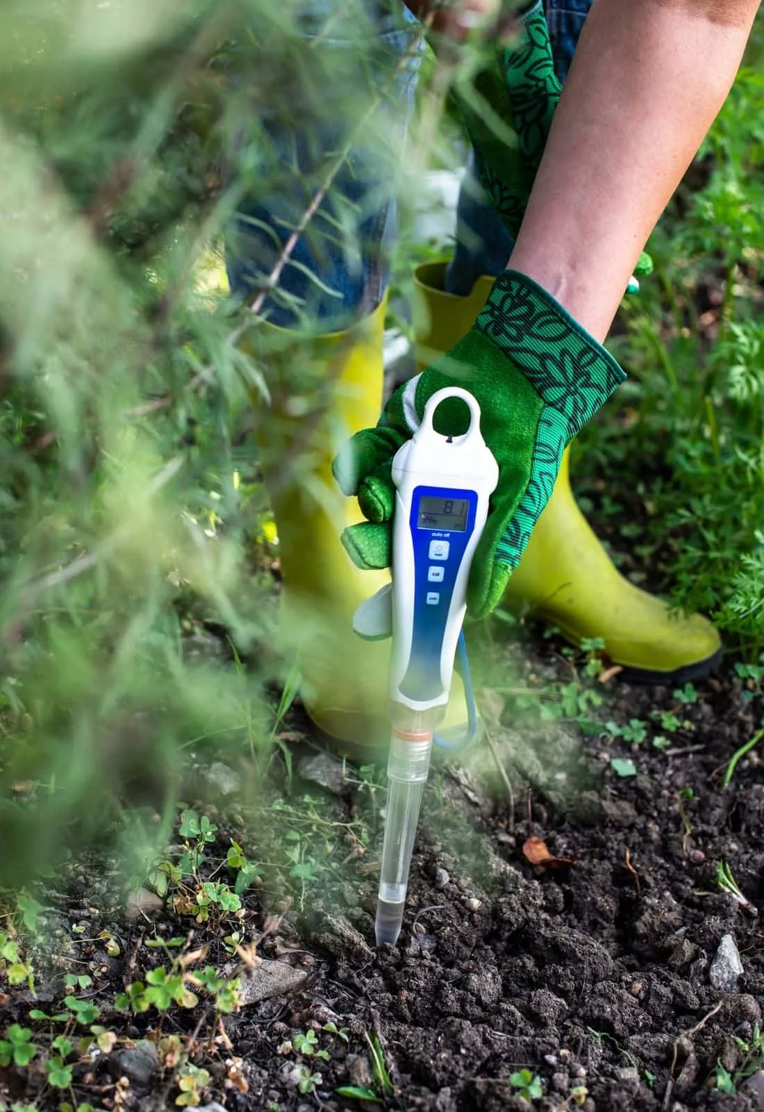 Close-up ph soil tester
