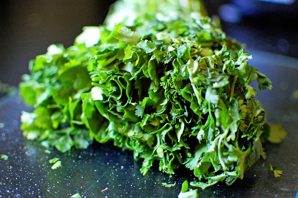 A bunch of fresh cilantro cut in half