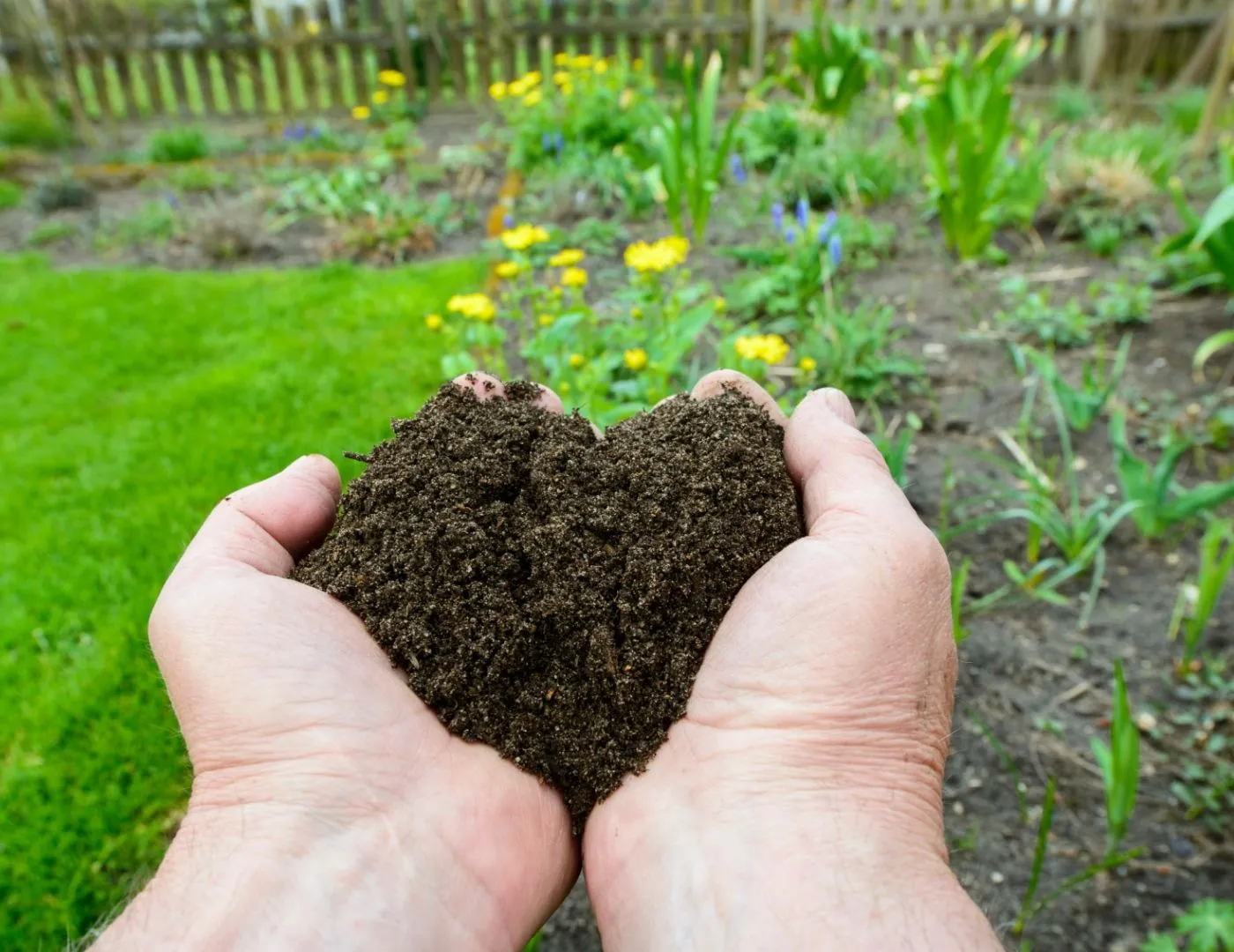 Handful of compost soil outside