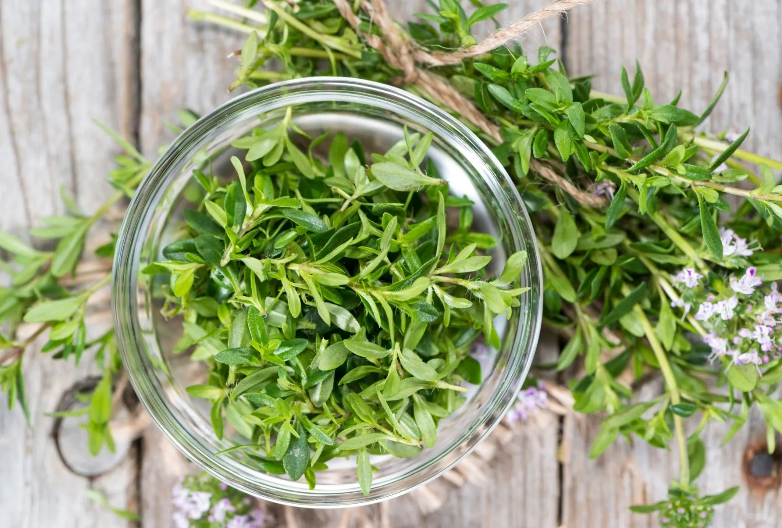 Harvested winter savory in jar