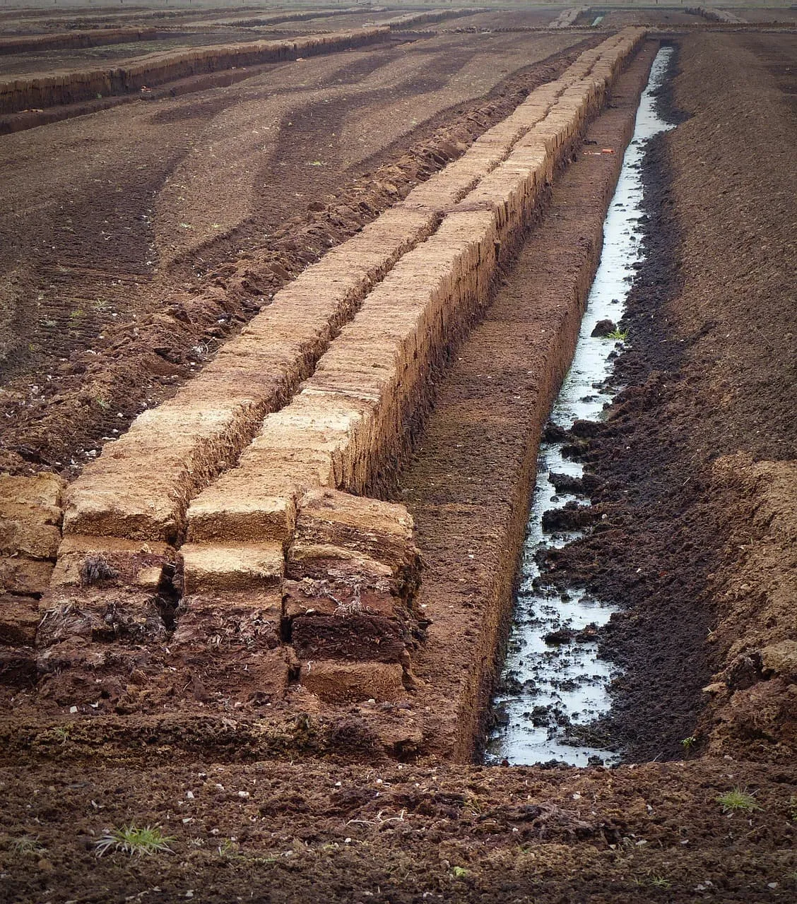 peat being harvested in peat bog