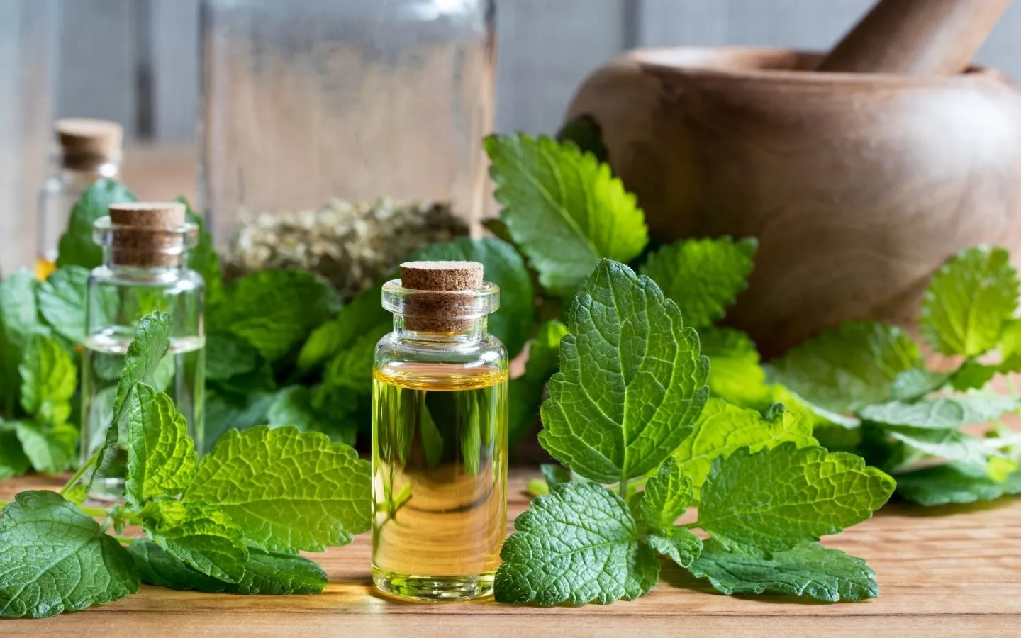 Lemon balm leaves next to essential oil bottle