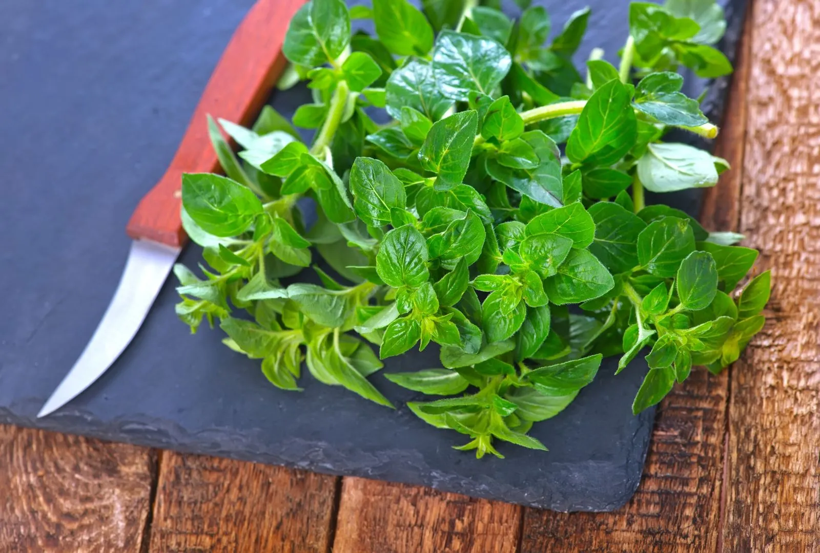 Marjoram on cutting board