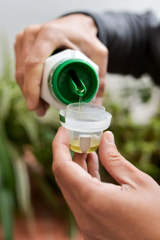 Measuring a dose of liquid fertilizer for plant