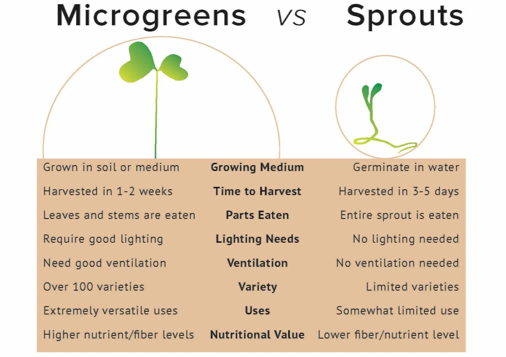 Micro vs sprouts custom infographic