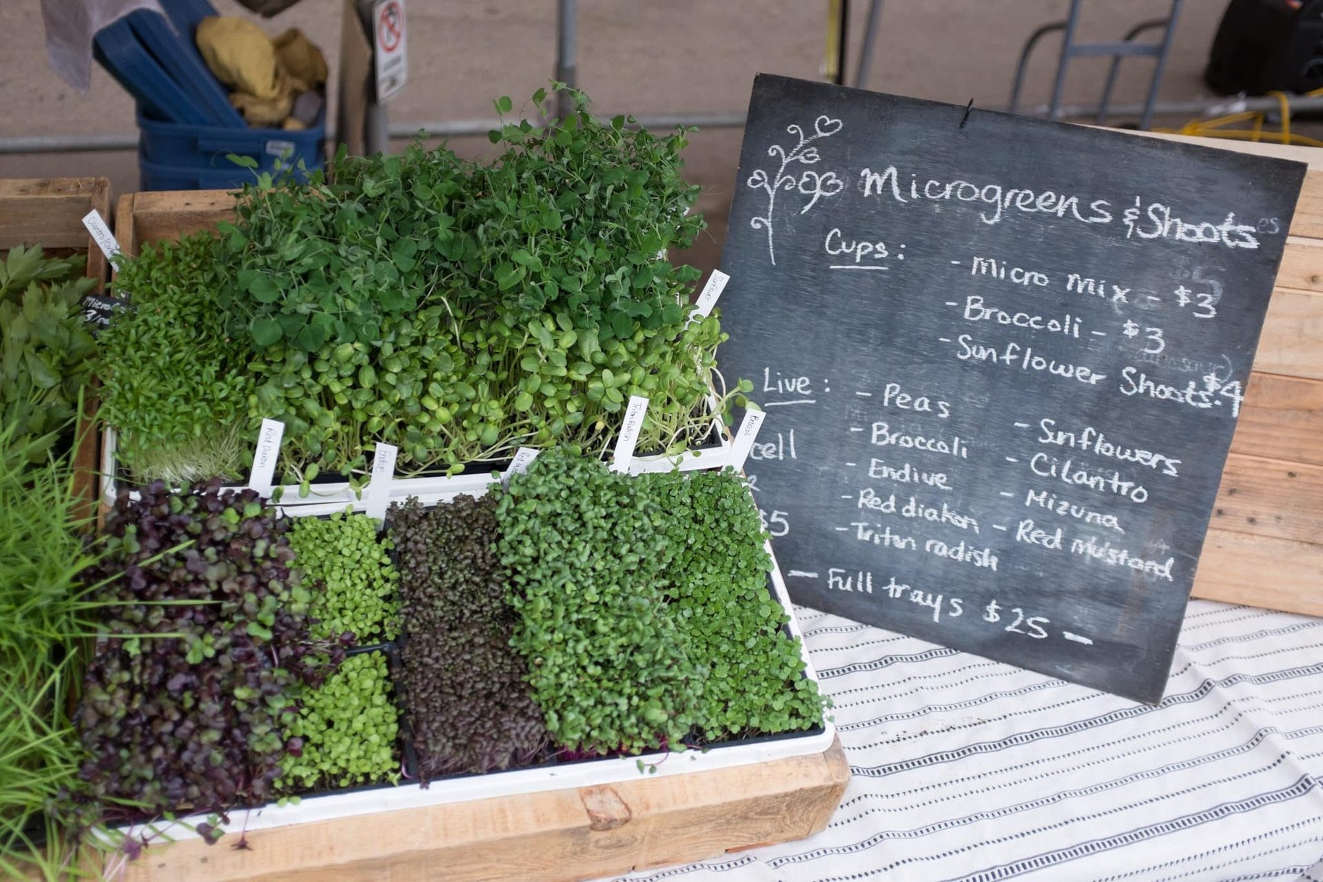 Trays of pea, sunflower and radish microgreens on a farmers market stall beside a chalkboard price sign