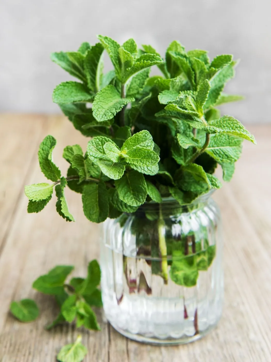 mint in glass jar