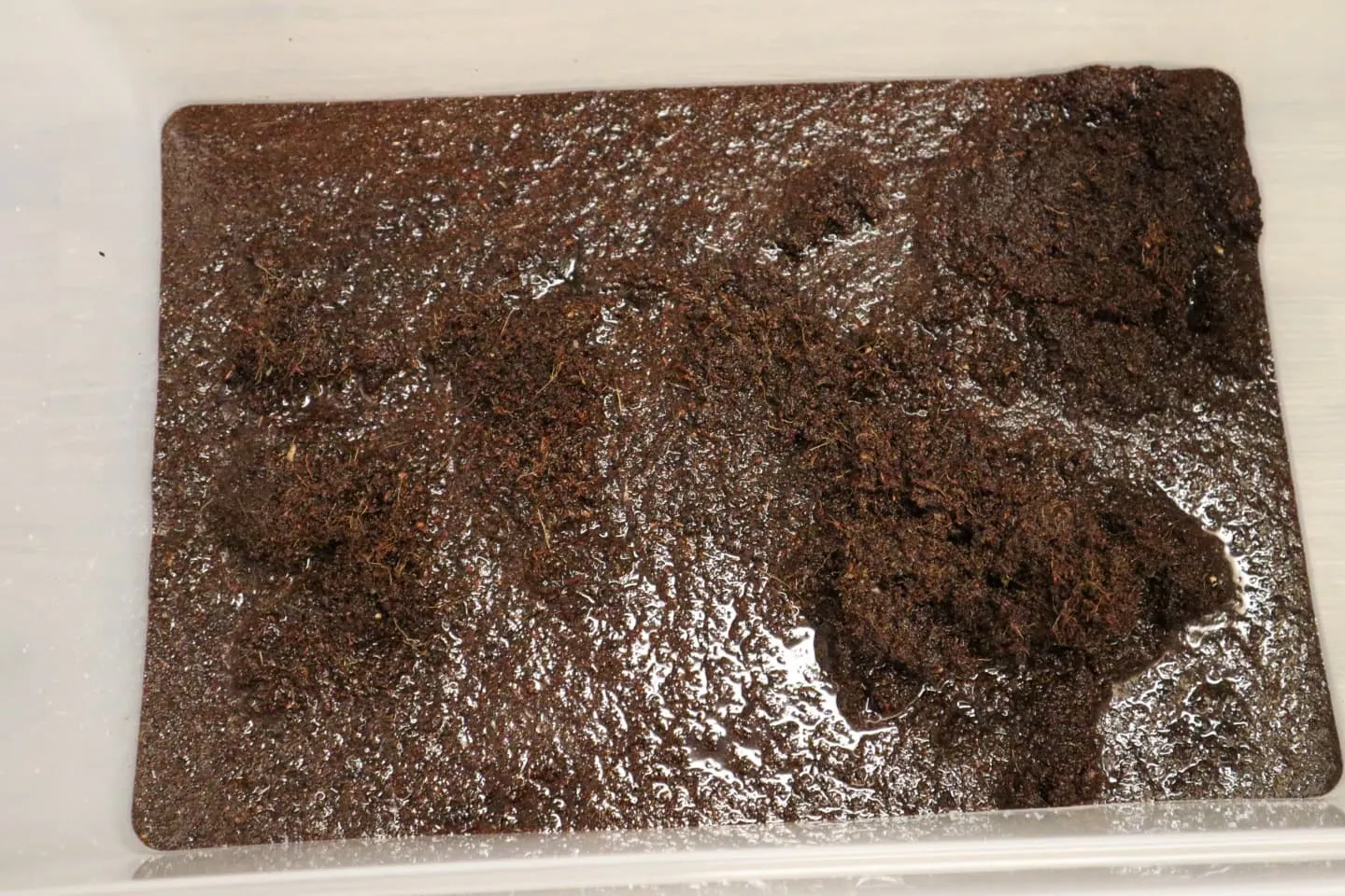 mixing coconut coir and water