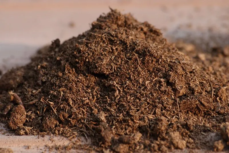 close up of peat moss in soil form
