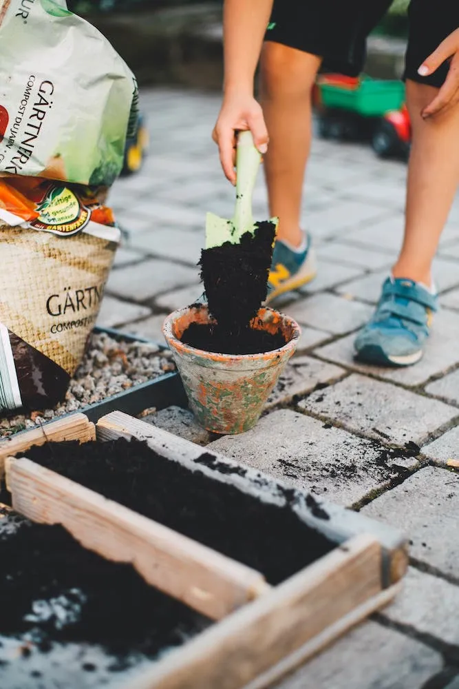 Shoveling soil into pot