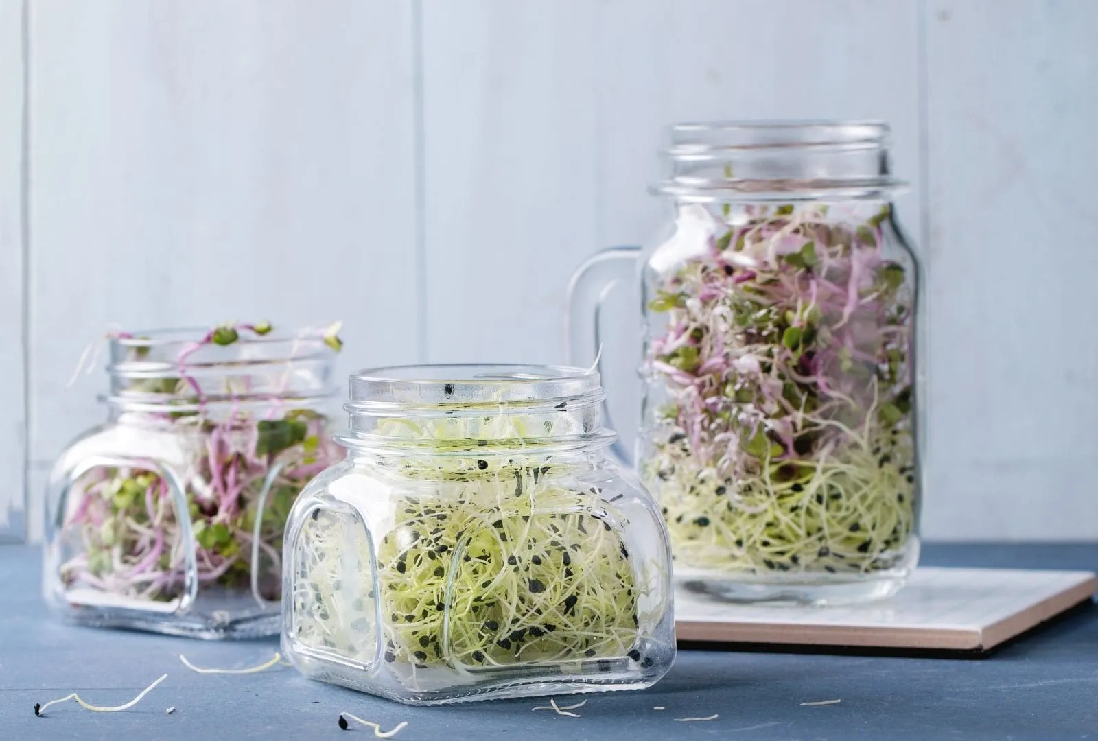 Sprouts in jars