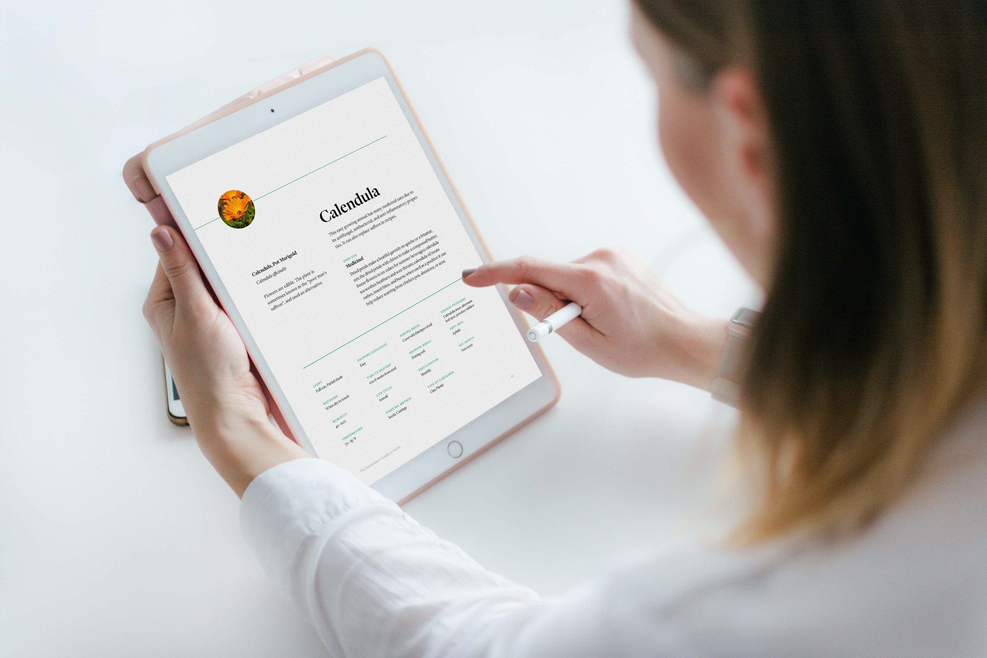 Reading The Enthusiast's Guide to Herbs on a tablet