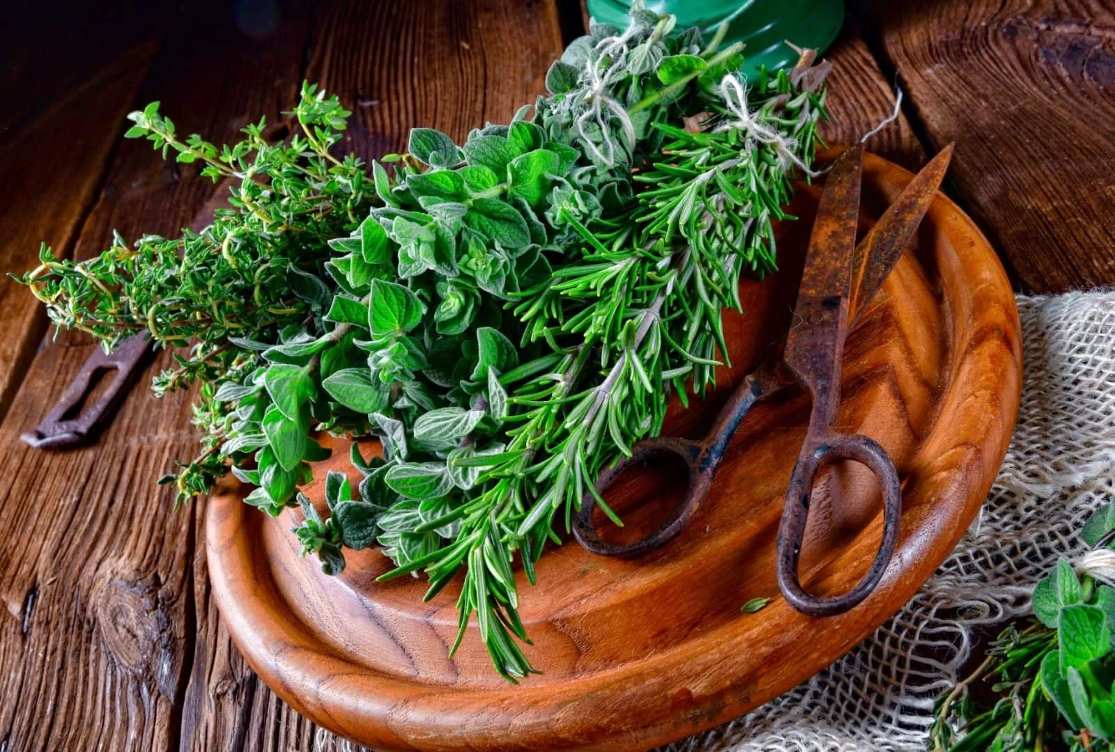 Thyme oregano rosemary on cutting board