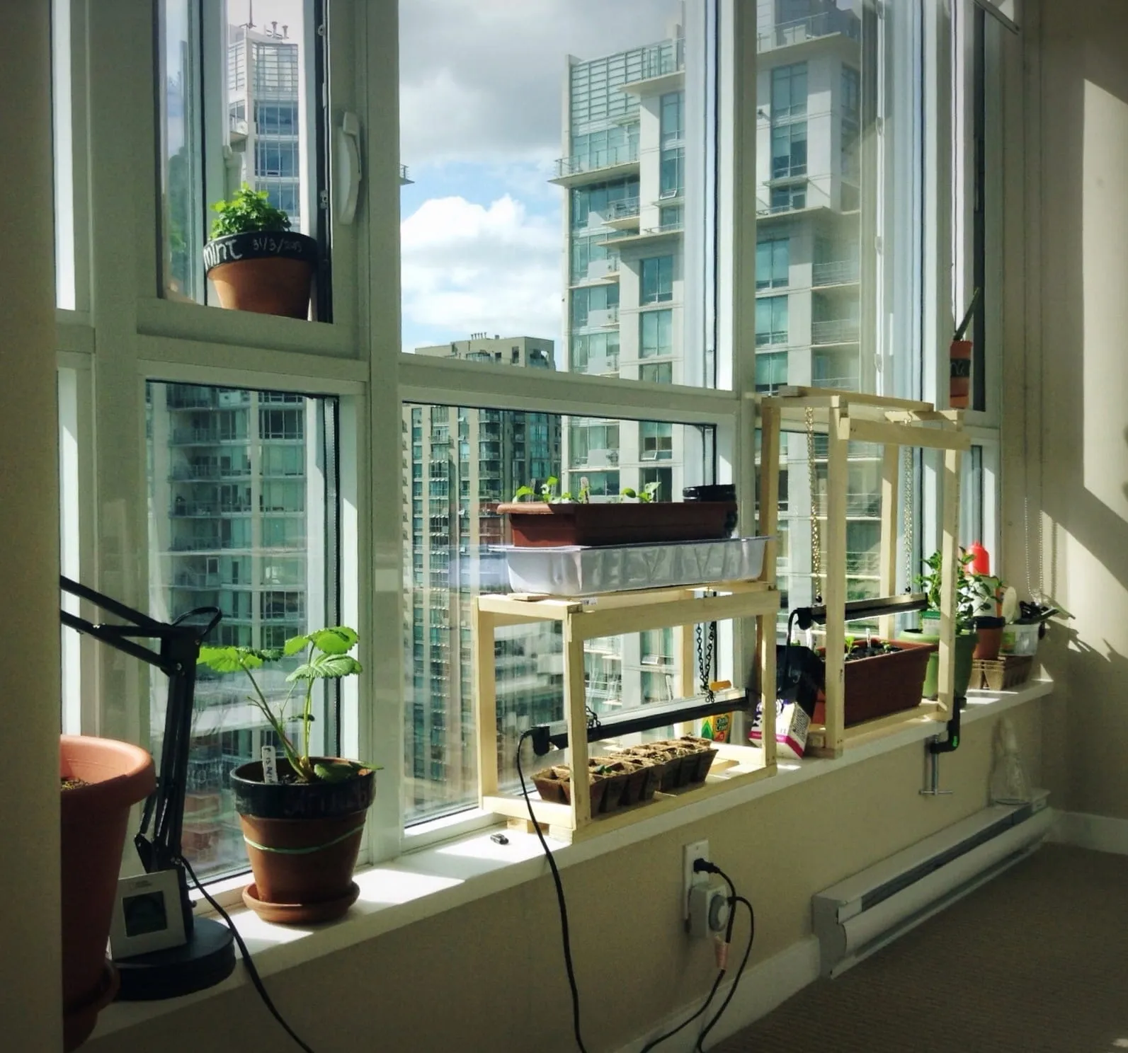 Urban indoor herb growing setup