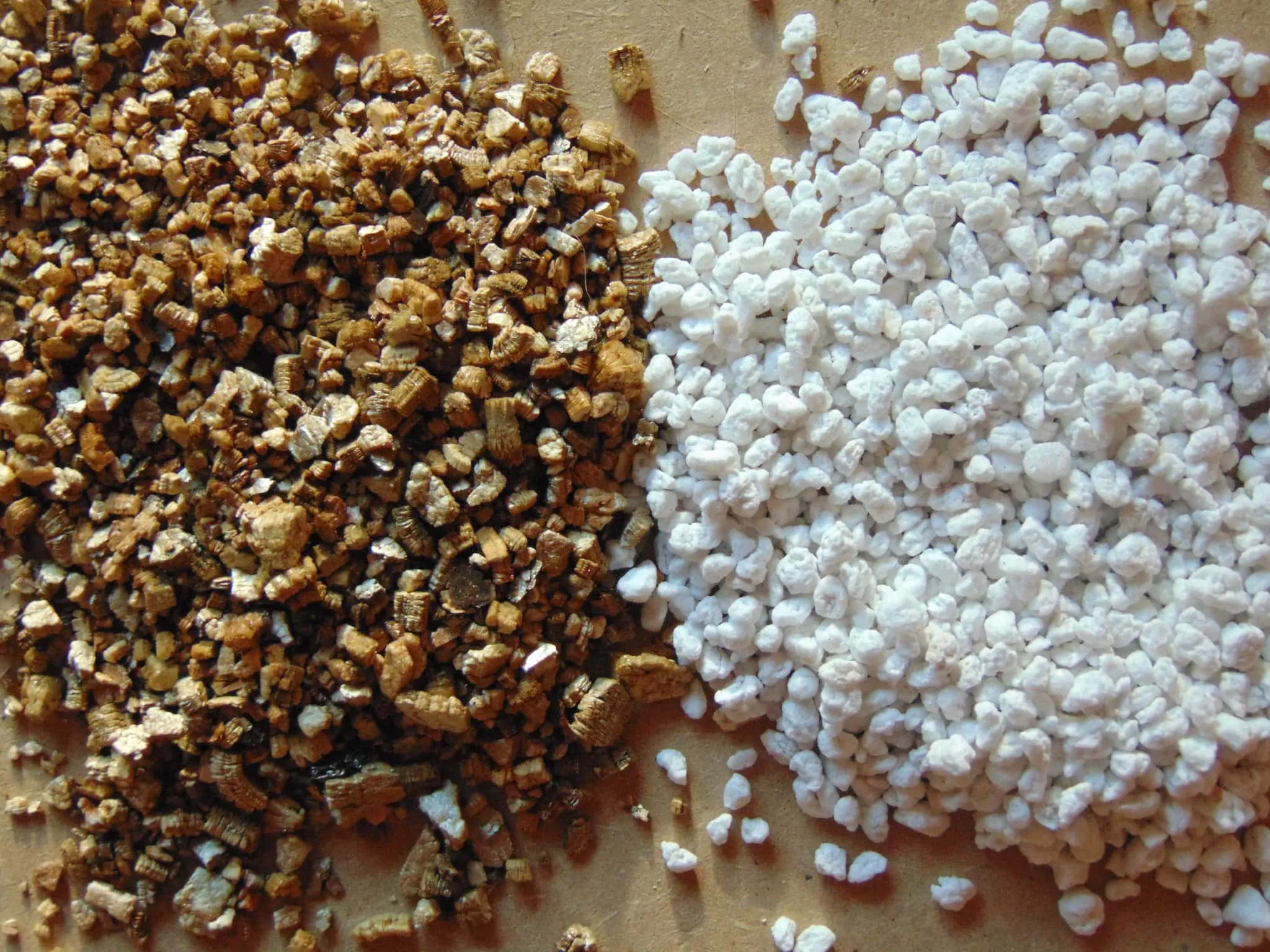 side by side comparison of Vermiculite vs Perlite