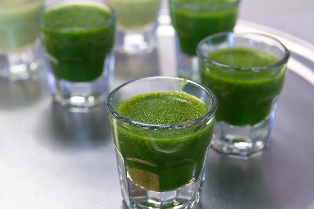 wheatgrass juice in shot glass