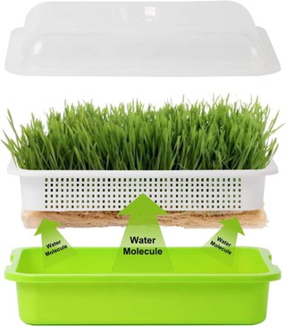 2× BPA-free nursery trays with covers