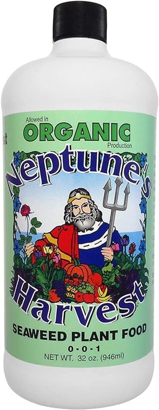 Neptune's Harvest seaweed fertilizer (36 oz)