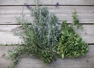 The complete guide to drying herbs