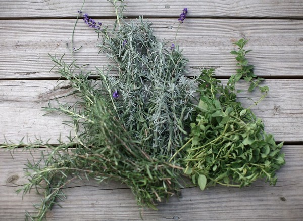 How to air dry and save herbs-CoffeeSock
