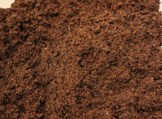 Coconut Coir - What It Is, Varieties, and How to Use It