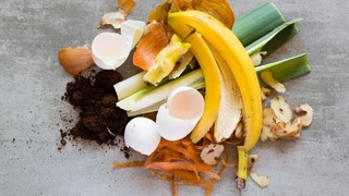 The ultimate guide to composting at home